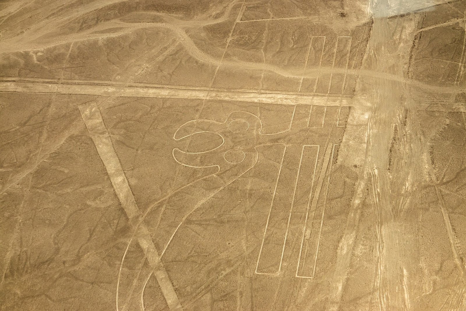 纳斯卡地画 · 鹦鹉图案